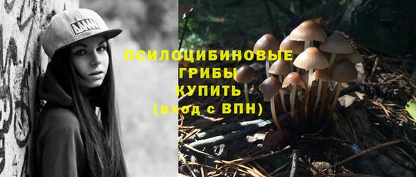 трава Верхнеуральск