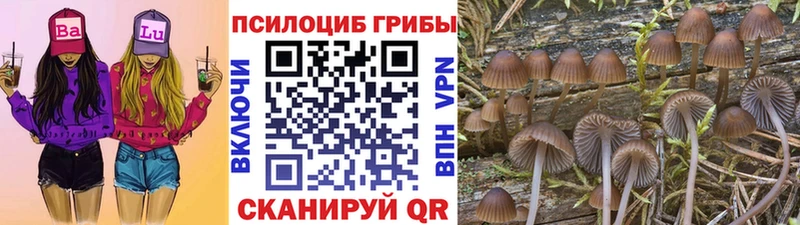 Галлюциногенные грибы мицелий хочу наркоту Городец